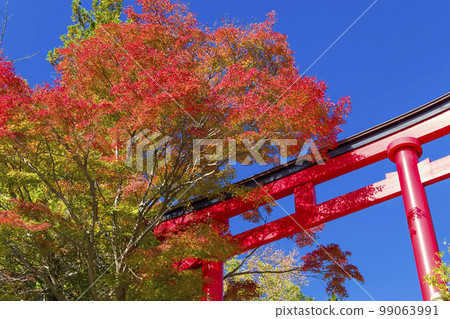 Takao Yakuo-in Torii Gate and Autumn Leaves / Mt. Takao, Tokyo Takao Yakuo-in Torii Gate and Autumn Leaves / Mt. Takao, Tokyo 99063991