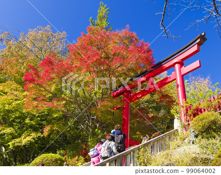 Takao Yakuo-in Torii Gate and Autumn Leaves / Mt. Takao, Tokyo 99064002