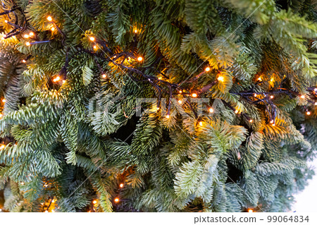 Decorated Christmas Tree, Christmas Decorations, Shiny Garland on Green Branches, Blurred Background 99064834