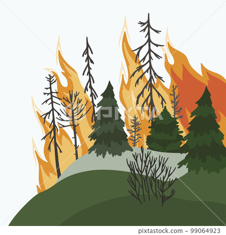 Forest fire. Dangerous wildfire. Pines in flame. 99064923
