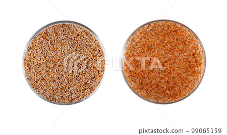 Plantago Ovata Seeds in Glass of Water Isolated, Psyllium Husk, Isabgol Dietary Fiber, Ispaghula, Psyllium Husk Plantago Ovata Seeds in Glass of Water Isolated, Psyllium Husk, Isabgol Dietary Fiber, Ispaghula, Psyllium Husk 99065159