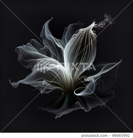 Contours of beautiful white lily flower in smoke on black background, fantastic magic background, unusual beautiful wallpaper 99065992