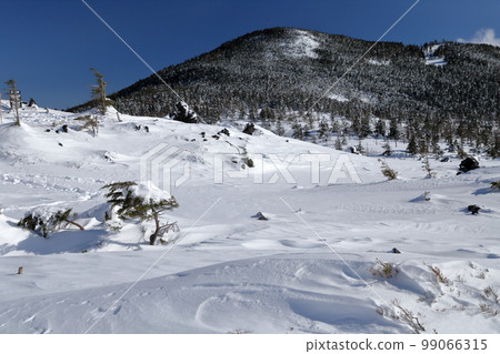 Snow scene (Kitayokodake, Tsuboniwa Nature Park, Chino City, Nagano Prefecture) Snow scene (Kitayokodake, Tsuboniwa Nature Park, Chino City, Nagano Prefecture) 99066315