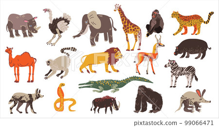 Collection of African animals set. Elephant, hippo, rhino, lion herbivores and carnivores vector illustration 99066471
