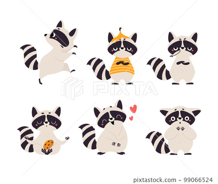 Cute Raccoon Character with Ringed Tail Engaged in Different Activity Vector Set Cute Raccoon Character with Ringed Tail Engaged in Different Activity Vector Set 99066524