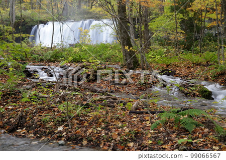 A dynamic waterfall (Choshi Otaki, Oirase Stream, Towada City, Aomori Prefecture) A dynamic waterfall (Choshi Otaki, Oirase Stream, Towada City, Aomori Prefecture) 99066567