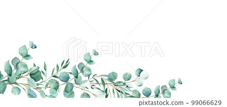 frame with eucalyptus branches.green floral border.postcard.watercolor hand  drawn illustration. Stock Illustration