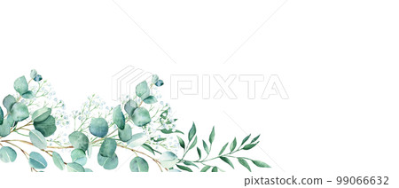 Floral watercolor banner. Green eucalyptus, pistachio and gypsophila branches isolated on white background. Rustic romantic style. Floral design frame. Can be used for cards, wedding invitations 99066632