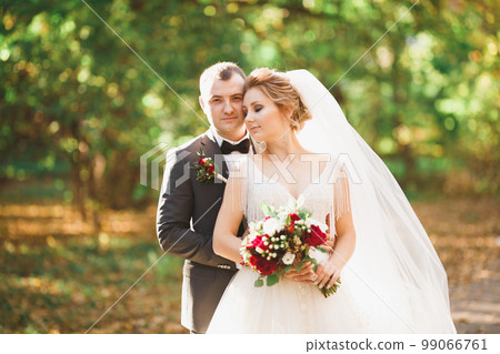 Romantic, fairytale, happy newlywed couple hugging and kissing in a park, trees in background Romantic, fairytale, happy newlywed couple hugging and kissing in a park, trees in background 99066761