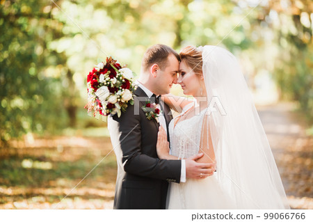 Romantic, fairytale, happy newlywed couple hugging and kissing in a park, trees in background Romantic, fairytale, happy newlywed couple hugging and kissing in a park, trees in background 99066766