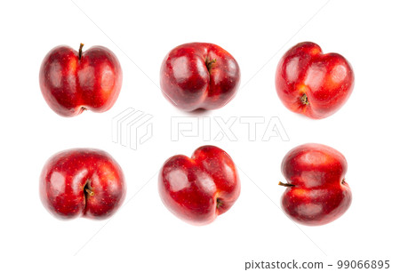 Red Apple Looks Like a Human Butt Isolated, Apple Buttocks Collection on White Background Red Apple Looks Like a Human Butt Isolated, Apple Buttocks Collection on White Background 99066895