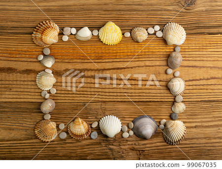 Sea Shell Frame, Multicolored Seashells Border, Clam Mollusc Shells Pattern, Natural Sea Shell Frame 99067035