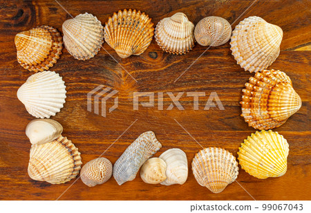 Sea Shell Frame, Multicolored Seashells Border, Clam Mollusc Shells Pattern, Natural Sea Shell Frame Sea Shell Frame, Multicolored Seashells Border, Clam Mollusc Shells Pattern, Natural Sea Shell Frame 99067043