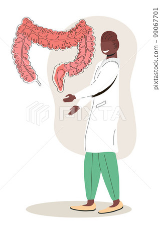 Gastroenterologists research intestine. Gastritis, stomach ulcer illustration. Intestine, stomach doctor examine, treat dysbiosis. 99067701