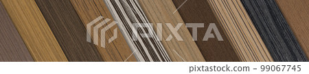 Samples of wood of different species. Pieces of wood veneer in different shades and textures. Samples of wood for the production of floor furniture or doors top view. 99067745