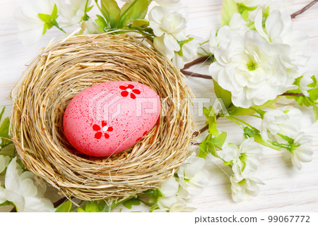 colorful easter egg in nest 99067772