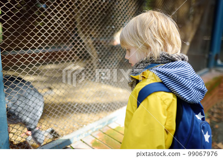 Little boy watching for birds in cage. Child at outdoors petting zoo. Kid having fun in farm with animals. Children and animals. Entertainment for kids on summer school holidays. Little boy watching for birds in cage. Child at outdoors petting zoo. Kid having fun in farm with animals. Children and animals. Entertainment for kids on summer school holidays. 99067976