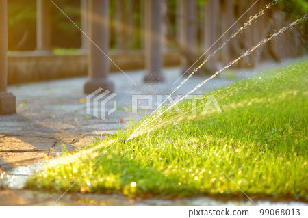 Garden sprinkler in sunny backyard. Gardening equipment. Watering the grass in the park on a sunny summer day 99068013