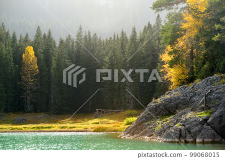 Black Lake in National Park Durmitor, Montenegro. Mountain lake landscape on sunny autumn day. Black Lake in National Park Durmitor, Montenegro. Mountain lake landscape on sunny autumn day. 99068015