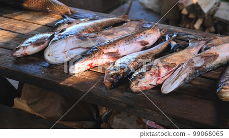 A variety of river fish from the Amur River on the fisherman's table. A variety of river fish from the Amur River on the fisherman's table. 99068065