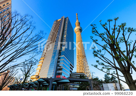 Tokyo, Sumida Ward, Tokyo Skytree dyed in the morning glow Tokyo, Sumida Ward, Tokyo Skytree dyed in the morning glow 99068220