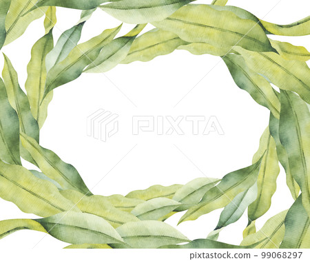 Frame with watercolor laminaria. Hand painted underwater kelp floral illustration with algae leaves branch 99068297