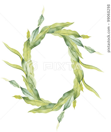 Wreath with watercolor laminaria. Hand painted underwater kelp floral illustration with algae leaves branch Wreath with watercolor laminaria. Hand painted underwater kelp floral illustration with algae leaves branch 99068298