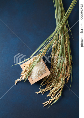 Image of rice 99069258