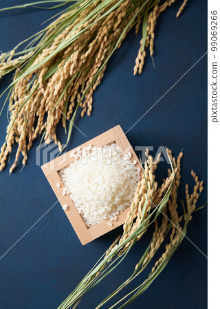 Image of rice Image of rice 99069266