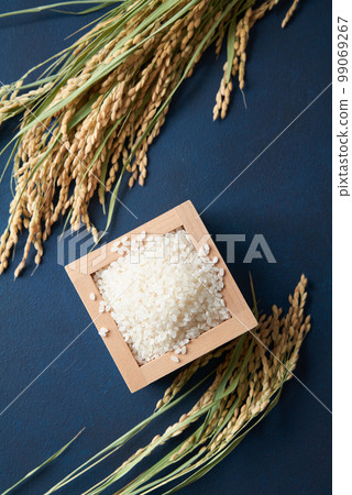 Image of rice Image of rice 99069267
