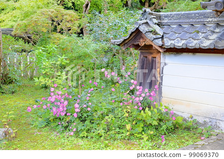 Shuigayuki花 99069370