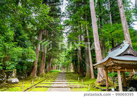 Fukui Prefecture, Heisenji Hakusan Shrine ~Stairs to the approach~ 99069395