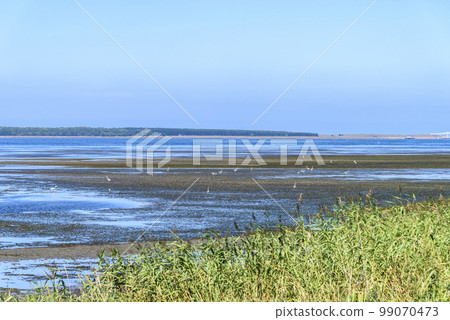 北海道佐呂間湖金列岬 99070473