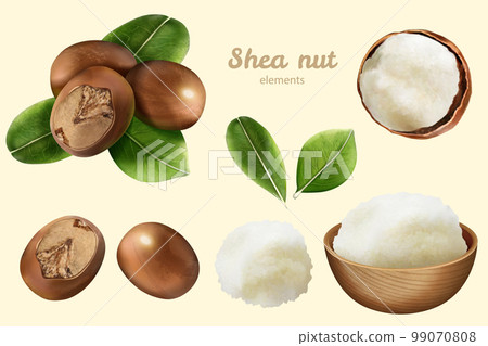 3D shea nut element set 99070808