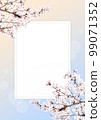 cherry blossom background 99071352