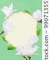 magnolia background 99071355