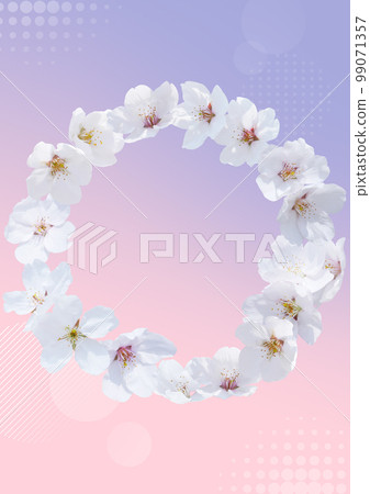 櫻花背景 櫻花背景 99071357