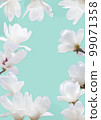magnolia background 99071358