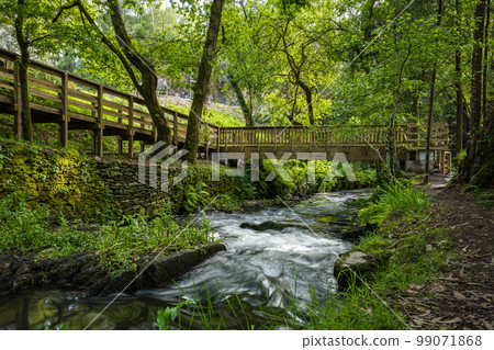 Wooden footbridge in Stanislaus fountain park 99071868