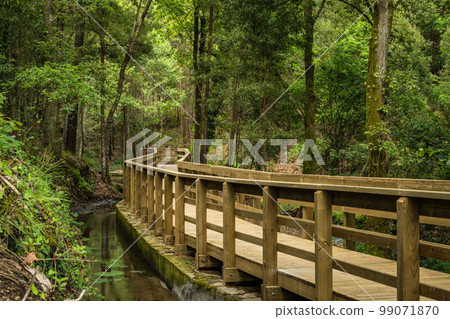 Wooden footbridge in Stanislaus fountain park Wooden footbridge in Stanislaus fountain park 99071870