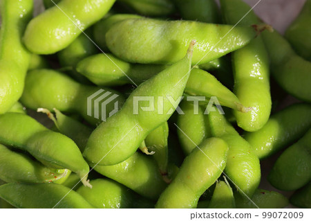 毛豆種子 99072009