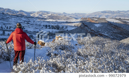 senior hiker in winter scenery of Rocky Mountains foothills in northern Colorado, Lory State Park 99072979