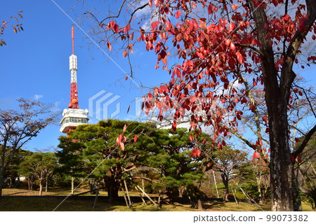 Utsunomiya City Hachimanyama Park Utsunomiya Tower (observation tower) and autumn leaves Utsunomiya City Hachimanyama Park Utsunomiya Tower (observation tower) and autumn leaves 99073382