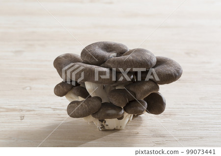 平菇日本栽培蘑菇 平菇日本栽培蘑菇 99073441