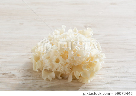 Sparassis crispa mushroom cultivated in Japan 99073445
