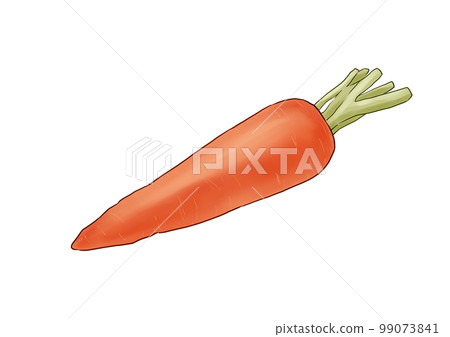 Ginseng Ginseng 99073841