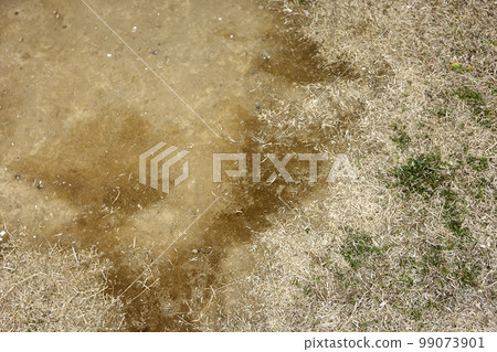 冬天,地面,泥土,草坪,向上 冬天,地面,泥土,草坪,向上 99073901