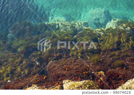 Galnam Port Galnam Port 99074028