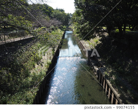 Zenpukuji河和綠地的風景 99074155