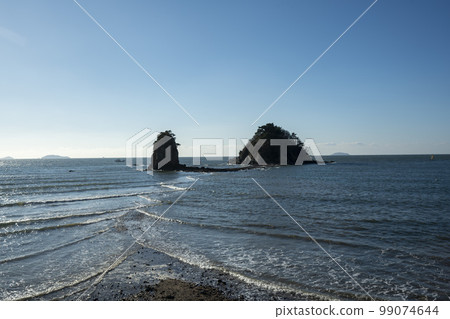 Flower Garden Beach 99074644